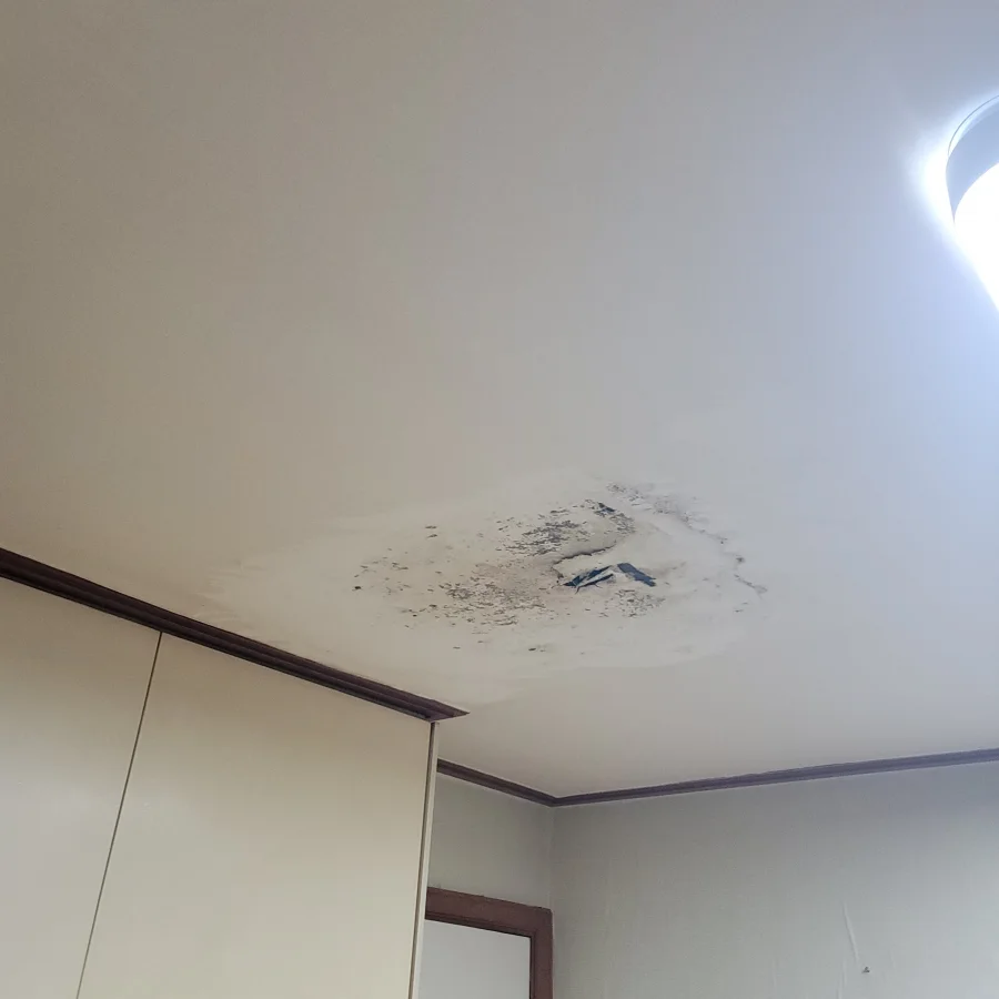 시공 전 — 천장 누수 → 석고보드 복원